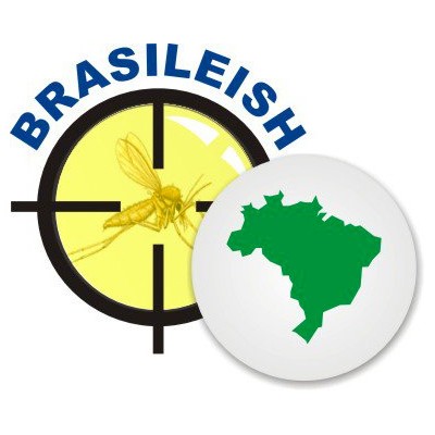 Partnership with Brasileish