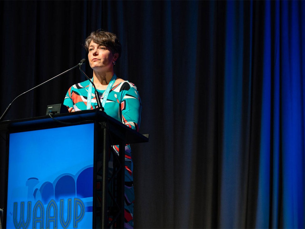 27th Conference WAAVP