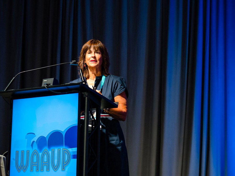 27th Conference WAAVP